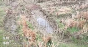 丰城市荷湖乡康庄村委会水田