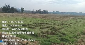 丰城市荷湖乡康庄村委会水田