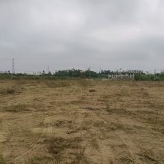 省直辖县文昌市东路镇葫芦村文丰组股份经济合作社111.83亩林地出租