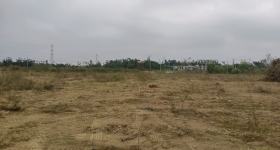 省直辖县文昌市东路镇葫芦村文丰组股份经济合作社111.83亩林地出租