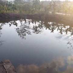 省直辖县屯昌县屯城镇新南社区新西组13.96亩鱼塘出租