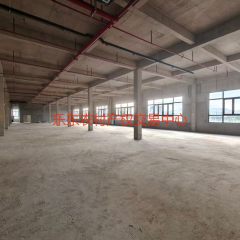 省直辖县乐东黎族自治县抱由镇江北片区海悦花园农贸市场2楼（含公共过道计费面积）1559.94平方米出租