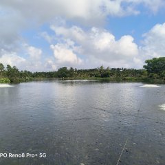 海南省直辖县定安县雷鸣镇同仁村委会龙坡村42.3亩鱼塘出租