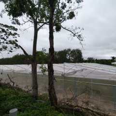 海南省直辖县屯昌县台风季节应急保供蔬菜（屯昌）基地大棚（地块二17.8亩）合作项目