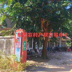 海南省直辖县东方市江边乡那文村火龙果基地94.39亩集体地及那文小学389.49㎡校舍出租