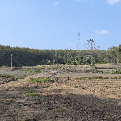 海南省直辖县白沙黎族自治县打安镇朝安村委会长流村小组39.6亩集体土地出租