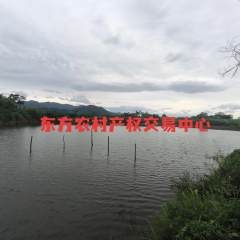 海南省直辖县东方市示范牧场18.7亩鱼塘出租