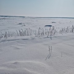 五大连池市兴安乡兴龙山村股份经济合作社4号机动地发包