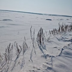 五大连池市兴安乡兴龙山村股份经济合作社5号机动地发包