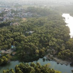 省直辖县陵水黎族自治县椰林镇华东村90亩集体建设用地使用权合作