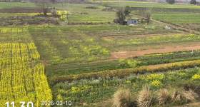 丰城市河洲街道富竹居委会中州岛土地