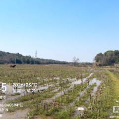 丰城市袁渡镇泉田村委会水田