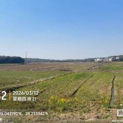 丰城市袁渡镇泉田村委会水田