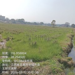 丰城市袁渡镇袁坊村委会水田