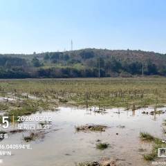 丰城市袁渡镇泉田村委会水田