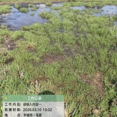 丰城市袁渡镇袁坊村委会水田
