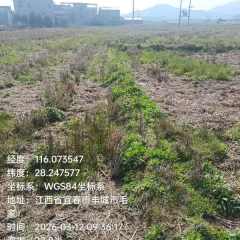 丰城市袁渡镇袁坊村委会水田