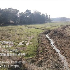 丰城市杜市镇固庄村委会水田