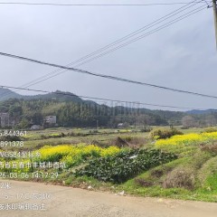 丰城市洛市镇源头村委会水田