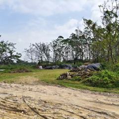 海南省直辖县琼海市潭门镇金鸡村龙一组股份经济合作社4.05亩集体用地出租