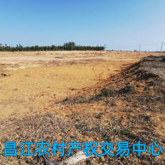 省直辖县昌江黎族自治县昌化镇棋圣路东侧98.55亩和南辰西路西北侧70.05亩林地出租