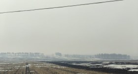 黑河市五大连池市双泉镇龙丰村集体经济组织机动地24号竞价发包