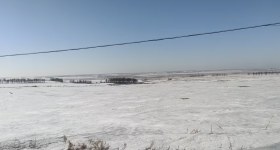 黑河市五大连池市双泉镇龙丰村集体经济组织机动地25号竞价发包