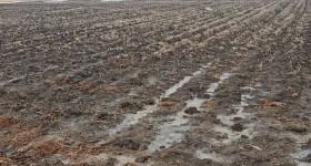 五大连池市建设乡新兴村股份经济合作社50号机动地竞价发包