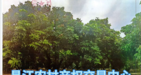 昌江黎族自治县石碌镇水头村委会昌江县石碌镇水头新村边龙眼地106.13地集体流转