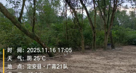 海南省直辖县屯昌县海胶中建分公司广青片区21队102.03亩胶园林下农业土地出租