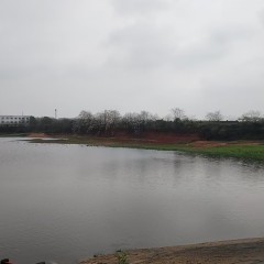 高安市独城镇力山村委会蛟塘组刘家塘水库