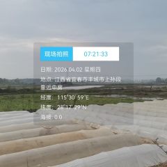 丰城市董家镇田东村委会水田