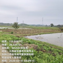 丰城市董家镇柏树村委会上塘