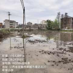 丰城市董家镇田塘村委会水田