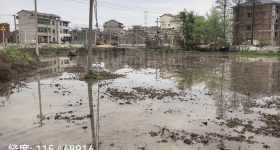 丰城市董家镇田塘村委会水田