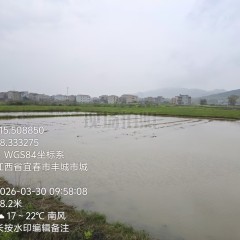 丰城市董家镇柏树村委会水田