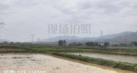 丰城市董家镇田塘村委会水田