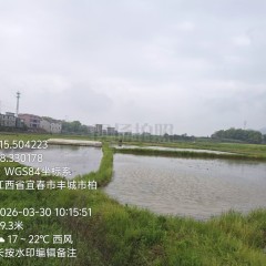 丰城市董家镇柏树村委会水田