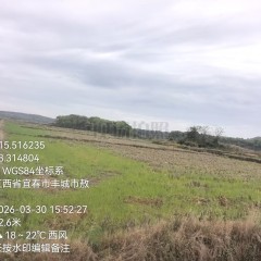 丰城市董家镇柏树村委会水田