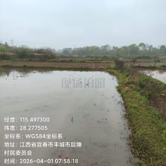 丰城市董家镇后塘村委会水田