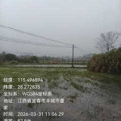 丰城市董家镇后塘村委会水田