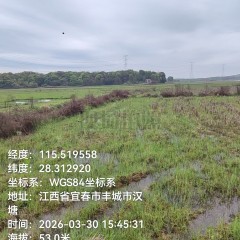 丰城市董家镇柏树村委会水田