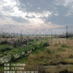 丰城市袁渡镇珊湖村委会水田