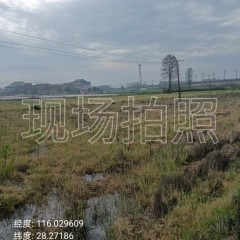 丰城市袁渡镇珊湖村委会水田