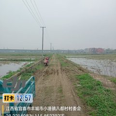 丰城市小港镇八都村委会水田