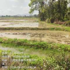 丰城市荷湖乡康庄村委会水田