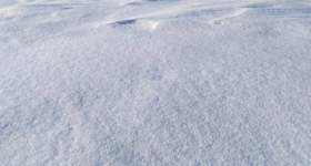 五大连池市太平乡南泉蒙满村股份经济合作社10、11、12号机动地对外出租