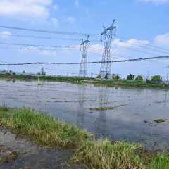 丰城市荷湖乡教堂村委会水田