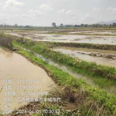 丰城市荷湖乡康庄村委会水田