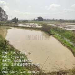 丰城市荷湖乡康庄村委会水田